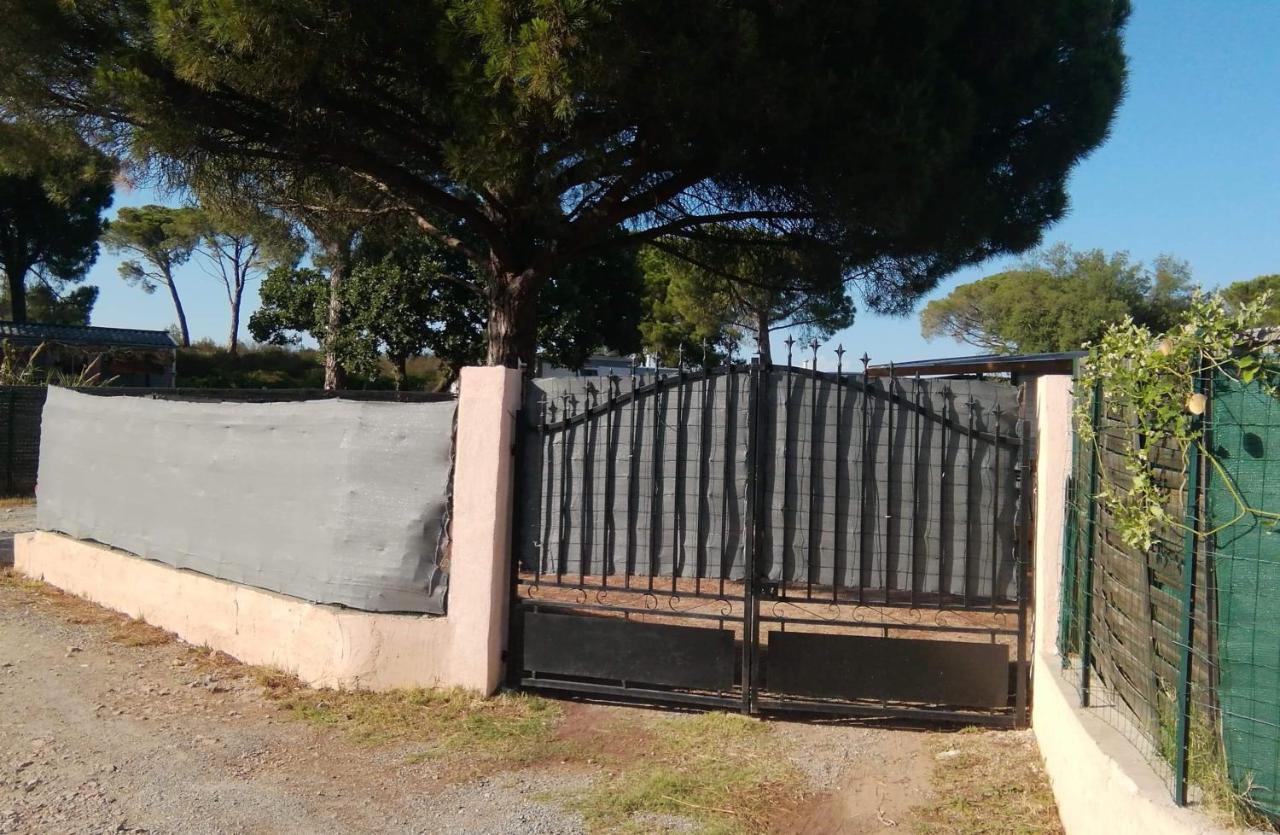 Mobilhome A Frejus A 15 Minute De La Mer Sur Terrain Independant מראה חיצוני תמונה
