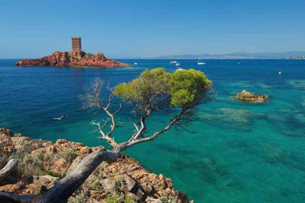 Mobilhome A Frejus A 15 Minute De La Mer Sur Terrain Independant מראה חיצוני תמונה